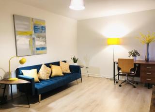 Spacious City Centre flat free parking& superfast WIFI - Edimburgo - 0