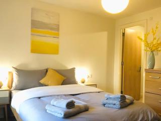 Spacious City Centre flat free parking& superfast WIFI - Edimburgo - 9