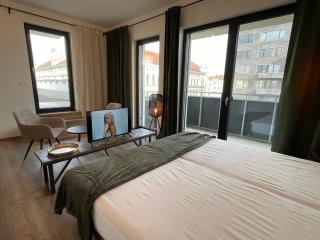 Theatre Brno Apartments - Brno - 0