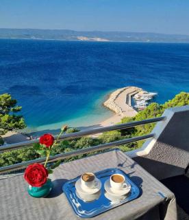 Apartments Villa ALEN - Mimice - 7