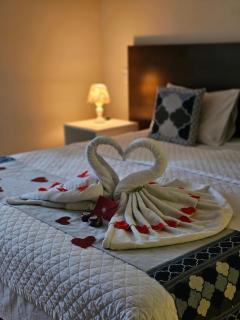 Hotel Fabris - Nova Friburgo - 9