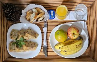Hotel Fabris - Nova Friburgo - 7