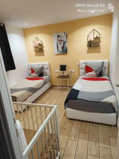 Appartement avec Terrasse - Blois - 1
