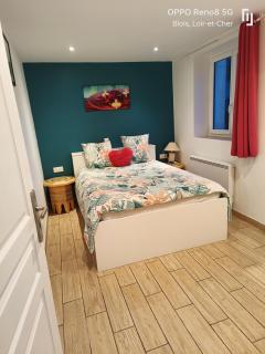 Appartement avec Terrasse - Blois - 2