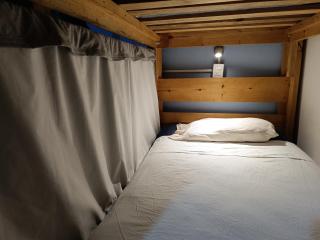 Monkey Safari Hostel - Querétaro - 7