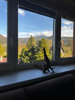 Ostravice Apartment - 5