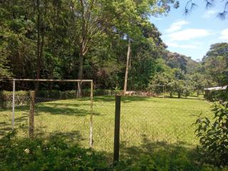 Sitio Felicidade - Mendes - 2