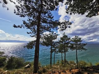Ohrid Gorgon's - Ohrid - 2