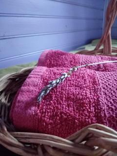 Roulotte Tzigane au bord du ruisseau - Drôme Provençale (2p) - 4