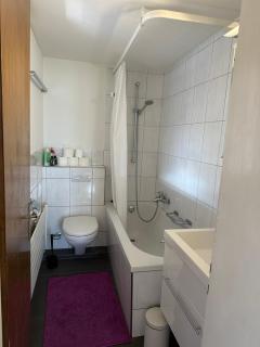 charmante 3,5 Zimmer Wohnung in Bauernhaus - Volketswil - 1