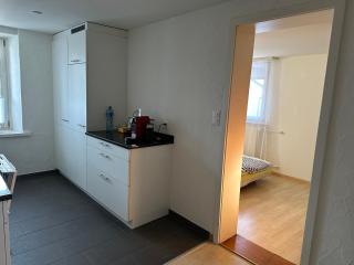 charmante 3,5 Zimmer Wohnung in Bauernhaus - Volketswil - 7