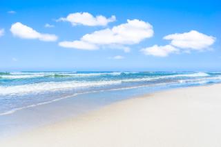 Ostseeklang - Zingst - 6