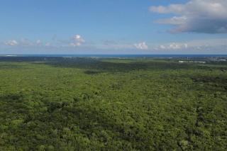 Casa de la Selva-Jungle Getaway with cenotes - Playa del Carmen - 7