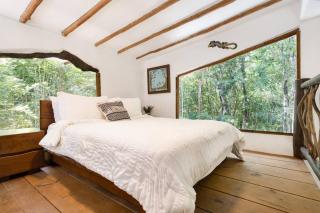 Casa de la Selva-Jungle Getaway with cenotes - Playa del Carmen - 5