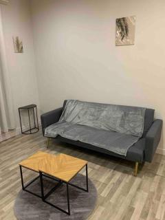 Chez Maryline-joli T2 spacieux - Villeurbanne - 7