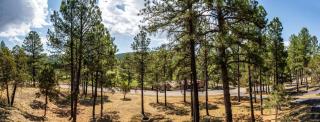 Big Rock Chalet: Gorgeous Views, Great Location, 4 Bedrooms, and a HOT TUB! - Ruidoso - 1