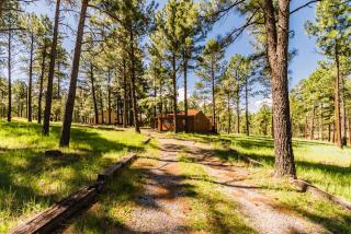 Deer Meadows: Adorable, Centrally Located Ruidoso Cabin with Private Hot Tub! - Ruidoso - 9