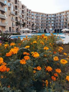 Princess Resort 052 - 5