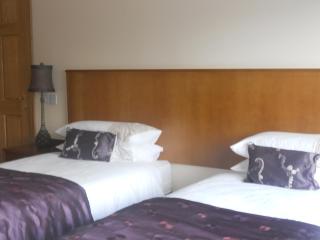 B&B The Silver Eel - Strokestown - 7