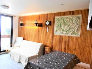 Résidence Phenix - APPARTEMENT 2 PIECES CABINE 6 PERSONNES MAE-9684 - Le Corbier - 0