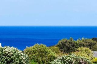 Ocean View Oasis, meters to beach & view divine! - Bellbrae - 6