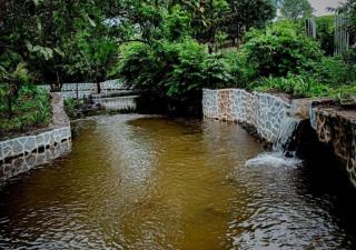Grand Celebration Resort - Neral - 6