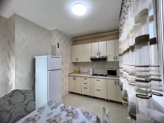 Апартаменты напротив спорткомплекса Алматы Арена 73-54 - 3