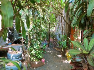 Ratanakiri Homestay & Jungle Trek - Banlung - 8