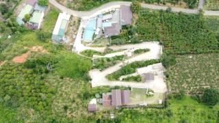 Đồi Hoa Đỏ Homestay - Ấp Thiện Lập - 5