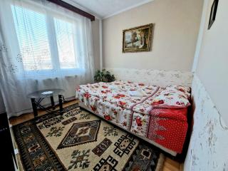 Sabina Apartment - Sighişoara - 6