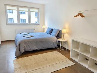 2Bedroom + 2Bathroom With Garage in Lux City - Lussemburgo - 7