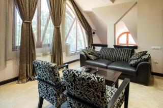 Hotel Vila Lago - Palić - 9