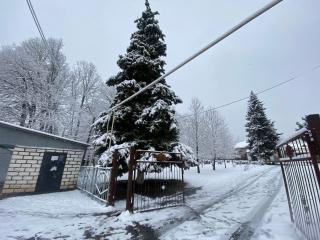 Dream House Oguz - 2