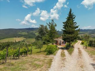 Tenuta il Poggetto - Radda in Chianti - 2