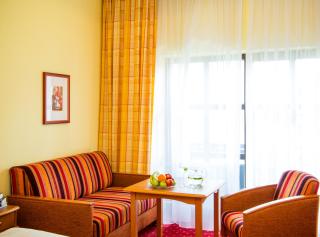 Hotel Konradshof - Bad Griesbach - 2