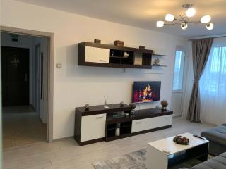 Victoriei Boulevard Private Apartment - 9