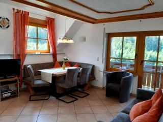 Schlosshof - der Urlaubsbauernhof - Elzach - 4
