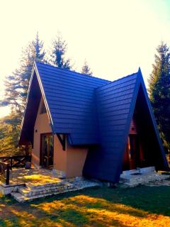 Mountain House Tadić 3 - Bajina Bašta - 7