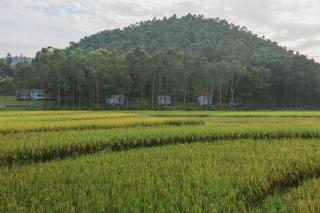 Nha Keo - Carpe Diem Retreat - Phúc Yên - 4