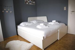 Cozy 3 bedroom house with 11 kw electric car charger - Hesperange - 4