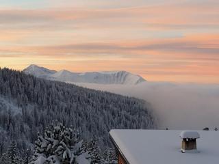 Appartement confortable 8 pers à Chamrousse avec balcon, proche navette et équipements complets - FR-1-340-273 - Chamrousse - 7