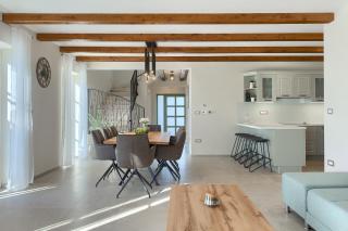 Beautiful villa Jurasi with outdoor pool in Tinjan - Muntrilj - 3