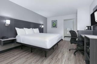 La Quinta Inn by Wyndham Dallas Uptown - 6