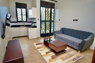 ATA Lux Apartments - Kira - 2