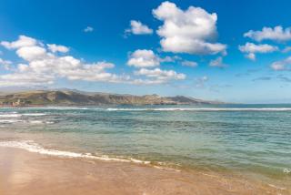 Home2Book Bright & Stylish Studio in La Isleta - Las Palmas de Gran Canaria - 6