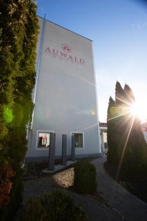 Auwald Hotel - Ingolstadt - 9