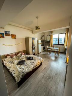 Cazare Iasi Palas Apartment - Iaşi - 9