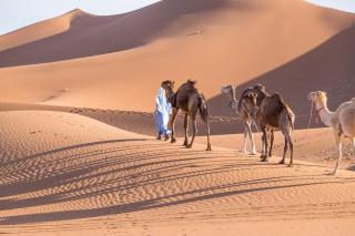 Wind Luxury Camp - Merzouga - 2