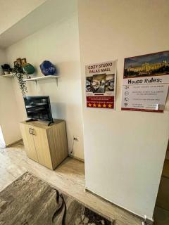 Cazare Iasi Palas Apartment - Iaşi - 4