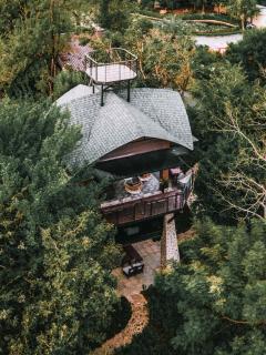 The Chamuang Forest - Ban Dong - 0
